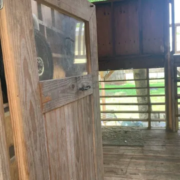 Historic 1904 Home w/Granite Kitchen, Fireplace, Treehouse! Near ATX/San Antonio