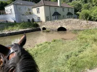 Tawny Cottage pet friendly, barn conversion, quiet farm location, nr Dartmouth.