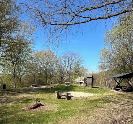Pure nature - forest vacation in the Tiny House