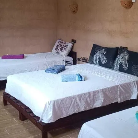 Auberge Restaurant Tissili " Oasis de Fint" Отели в г. Фин
