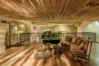 Caribbean Paradise Hotel & Spa - 5th Avenue