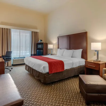 Comfort Inn & Suites Airport