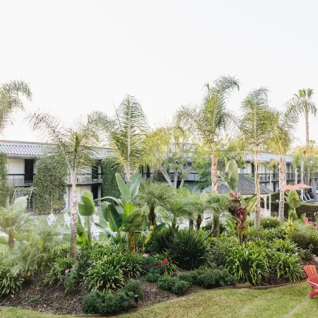 Palm Garden Hotel