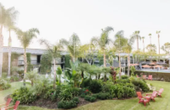 棕櫚樹花園飯店 紐伯裡公園住宿飯店