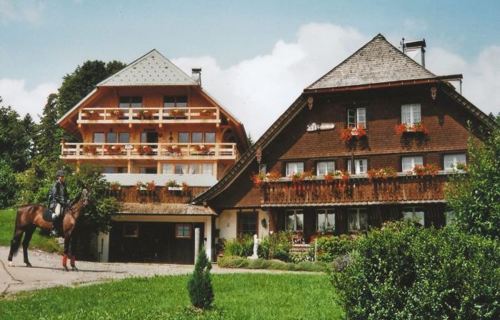 Geräumige Wohnung in Dachsberg-Urberg