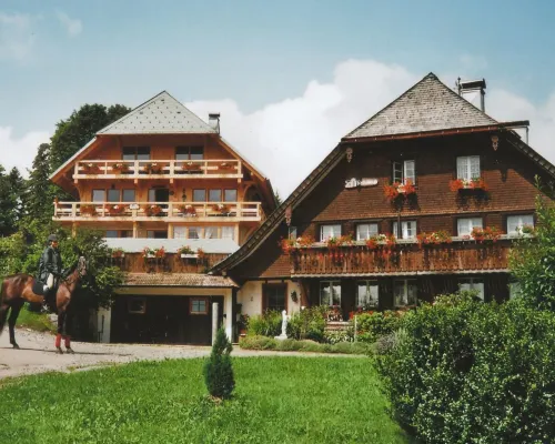 Geraumige Wohnung in Dachsberg-urberg Hotels in Urberg