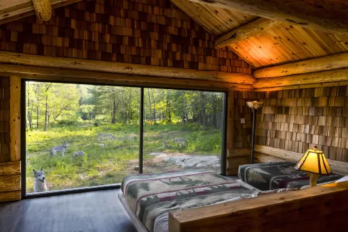 Parc Omega - homestay