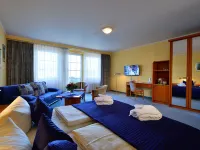 Rheinhotel Vier Jahreszeiten Bad Breisig Hotels in Ahrweiler
