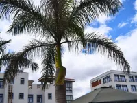 Conrad Hotel - Kitengela Hotels in Central