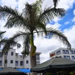 Conrad Hotel - Kitengela فنادق في Olooloitikosh