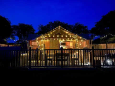 Lion King Safari Tent