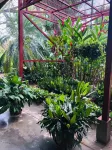Hotel Del Aserradero Hotels in Guachipelin