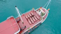 Daiichi Boutique Cruise - Cruises