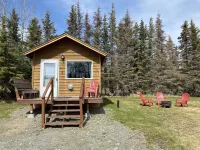 Modern Cabin @ Moose Tracks Lodging