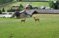 Woodinville Wine Country Tuscan/Chateau Style Home w/ Winery. Wines by appt. Hotels in Cottage Lake