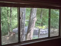 Tree House Condo! Great Location! Steps From Campus!