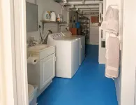 Peaceful Parrot and Parakeet