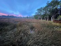 Amelia Island on the Marsh 8 miles unobstructed views incredible sunrise,sunsets