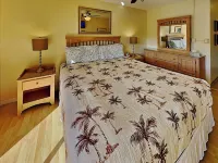 마우이 렌탈 그룹의 나니 카이 헤일