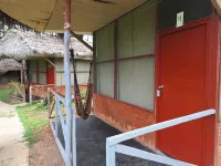 La Casa del Ayahuasca - Luz del Amazonas - Pools