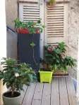 Les Chambres Hautes d'Anastasia