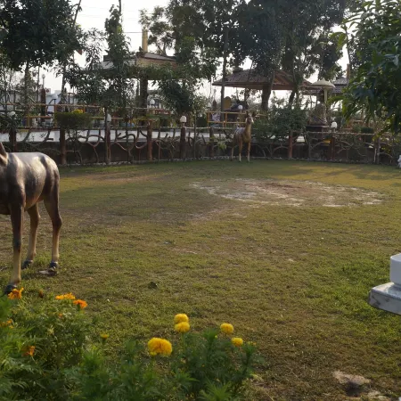 The Buddha Resort