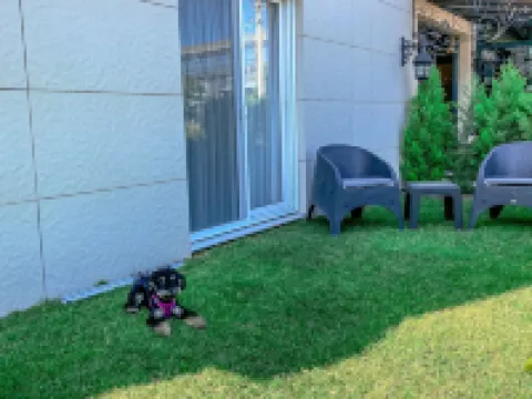 ロペラ デラックス ホテル エドレミトのホテル