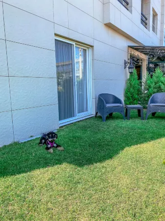 L'Opera Deluxe Hotel Отели рядом с достопримечательностью «LLUM»