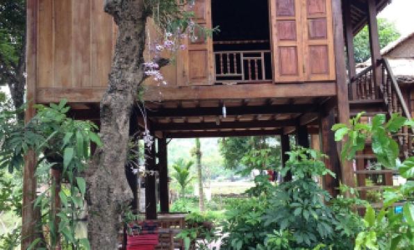 Linh Soi Homestay - Hostel