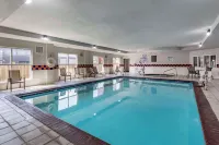 Quality Inn & Suites I-35 E-Walnut Hill