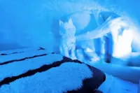 Snow Resort Kirkenes Hotels in Kirkenes