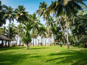 Malabar Ocean Front Resort and Spa, Bekal