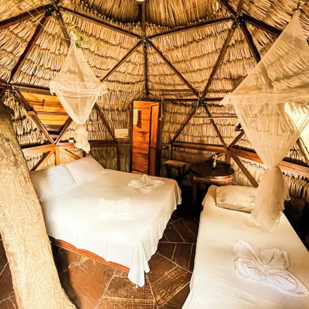 Raiz Kite Cabana