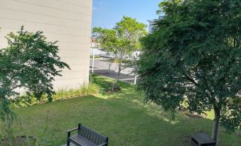 Luxurious 1Bed Studio Self-Check in Free Parking