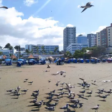 Hostal Venecia -Tu Casa en Manta.