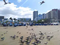Hostal Venecia -Tu Casa en Manta.