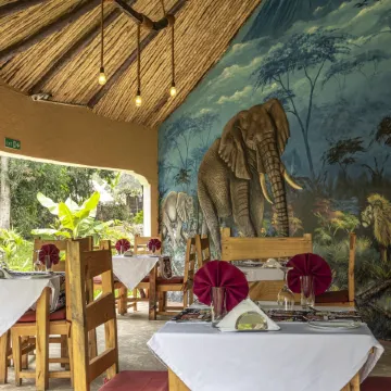 Africa Safari Arusha