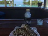 Conch Key Fishing Lodge & Marina Hoteles en Duck Key