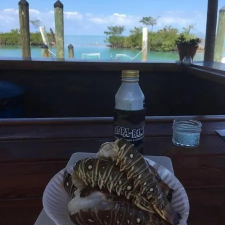 Conch Key Fishing Lodge & Marina