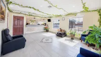 Executive Inn Hondo