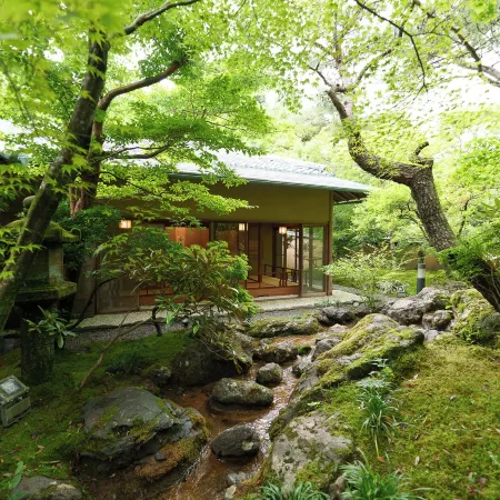UNZEN HANZUIRYO