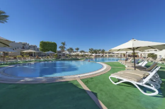 礁石綠洲海灘度假酒店 酒店