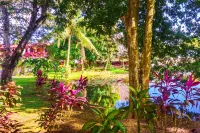 Drift Inn Cayo Hotels in 