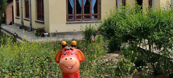 Nirvana Lodge Hotels in Paro