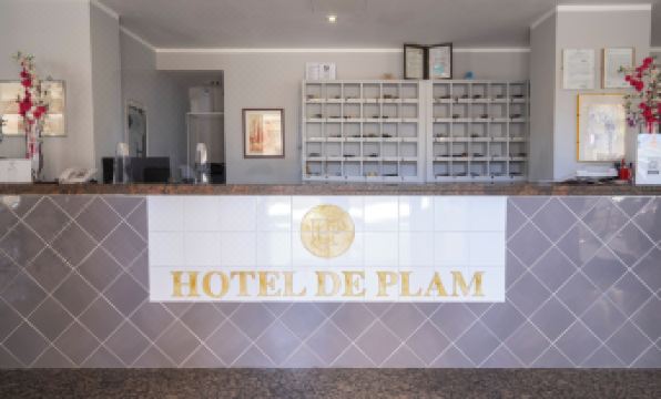 Hotel De Plam - Housity