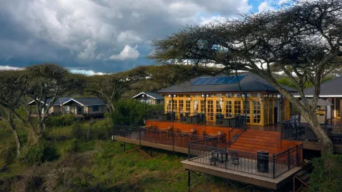 Ngorongoro Lions Paw