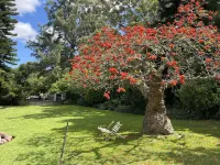 Marula Lodge Hotels near Drostdy Museum