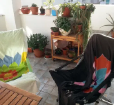 B&B 바바이 좀미