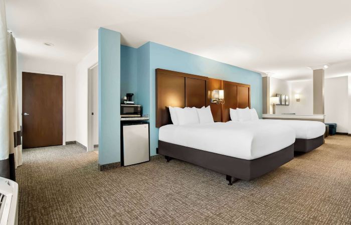 Comfort Suites Rensselaer near Fair Oaks