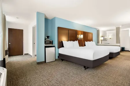 Comfort Suites Rensselaer near Fair Oaks